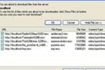 File Downloader预览：